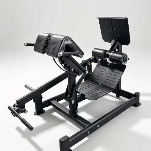 Roman Chair Back Extension Machine