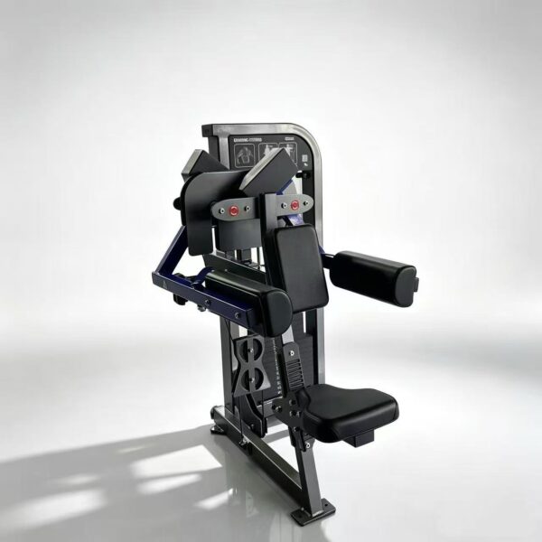 Commercial Lateral Raise Machine