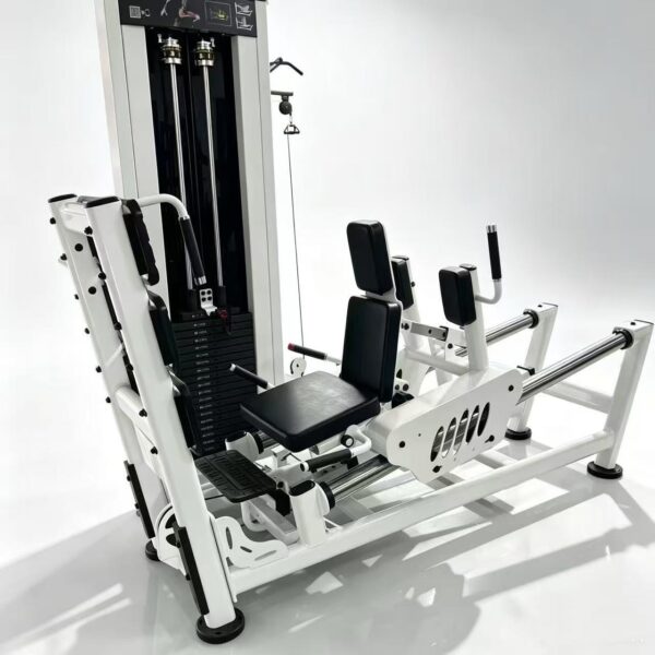 Leg Press Hack Squat Combo