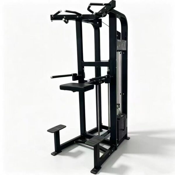 Assisted Chin Up / Dip Machine