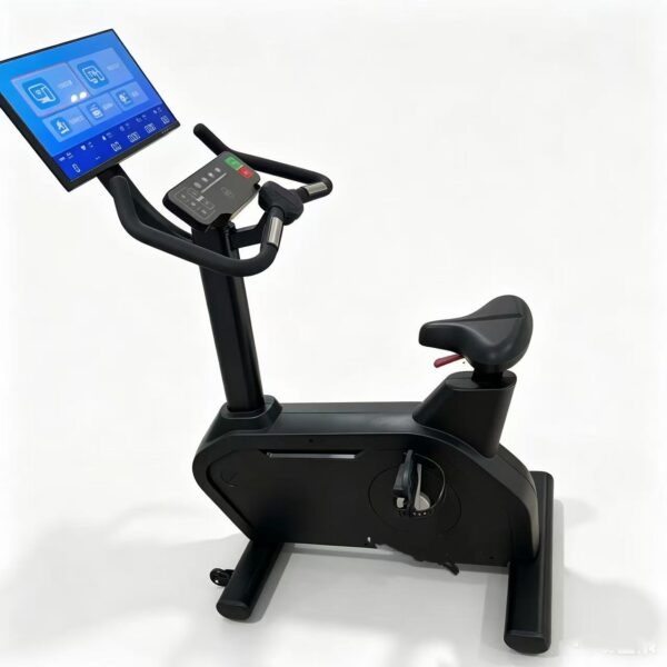 Bicicleta reclinada comercial