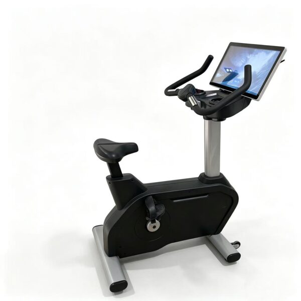 Commercial Upright Bike